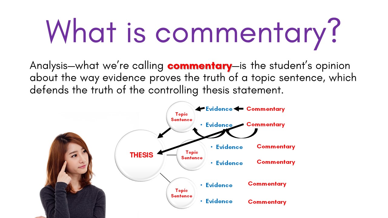 commentary vs essay