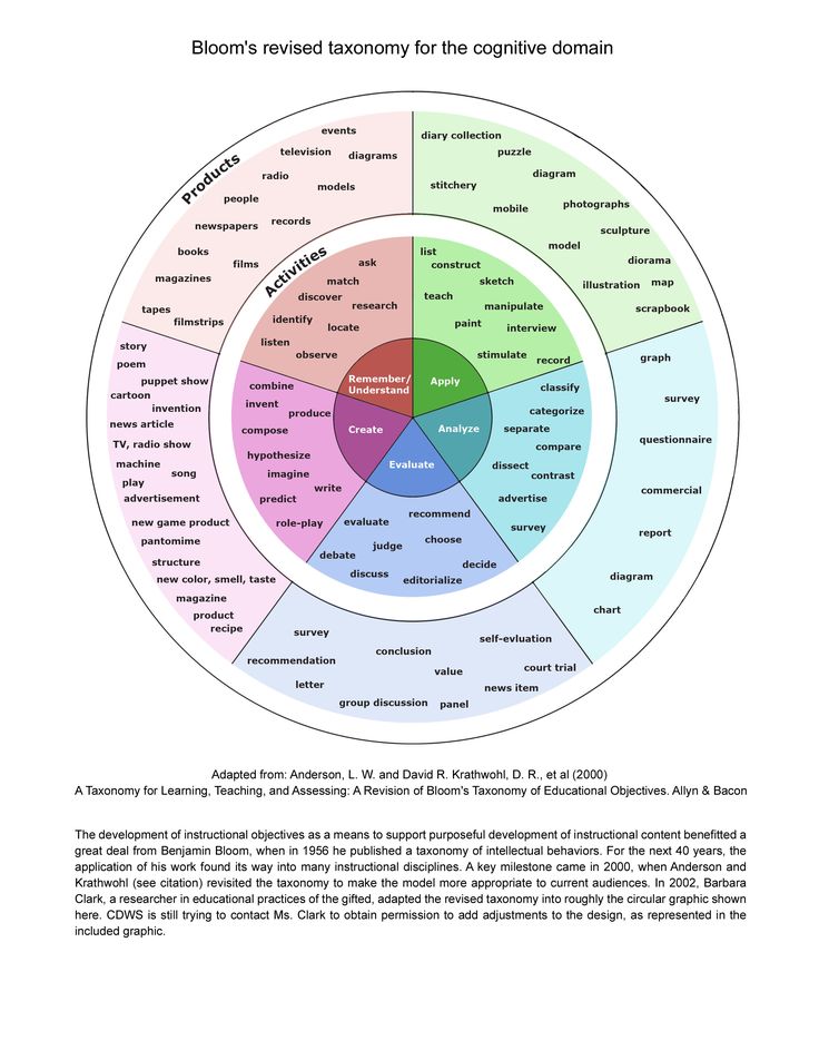 activities and products for Bloom's levels